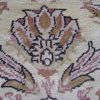 Chobi (5461) - Image 2