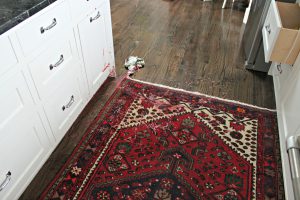 Persian rug stain removal