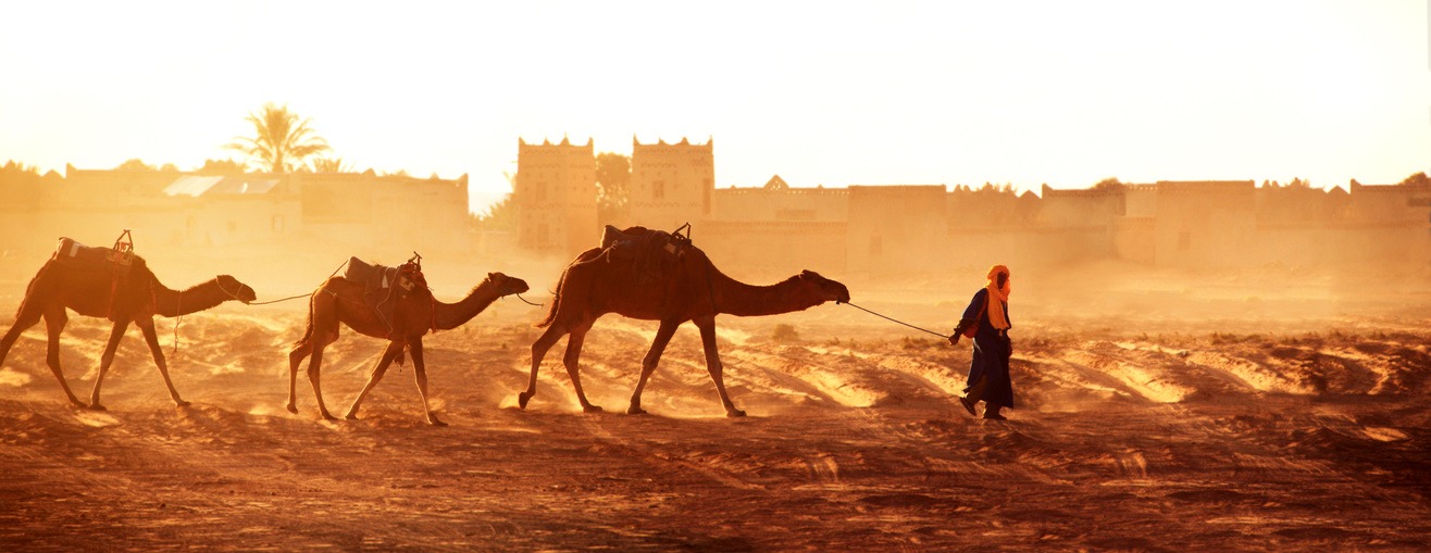 Camels Carrying Nomads and their Rugs